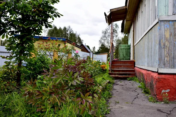 Letto Fiori Invaso Vicino Alla Casa — Foto Stock