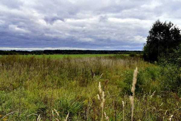 Saha üzerinde katı bulutlar