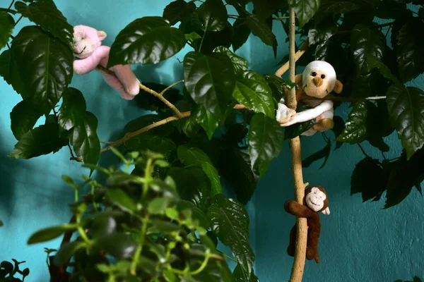 Gül ağacında asılı yumuşak oyuncaklar