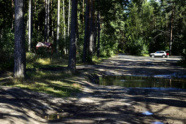 Yoldaki büyük su birikintisi