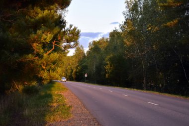  Gün batımında yol boyunca parlak dallar