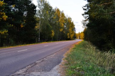 Akşam güneşinde otoyolun kenarında.