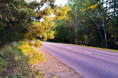  Gün batımında yol boyunca parlak dallar