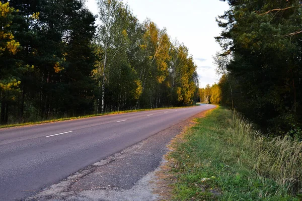 Akşam güneşinde otoyolun kenarında.