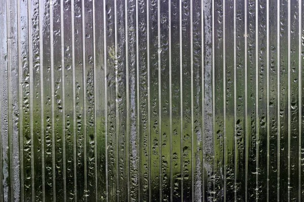 Przezroczysta Ściana Szklarniowa Kroplami Wody Obraz Stockowy