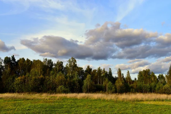 Nubes Sobre Bosque Principios Otoño —  Fotos de Stock