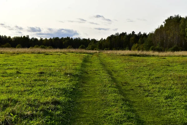 Landweg Door Het Weiland — Stockfoto