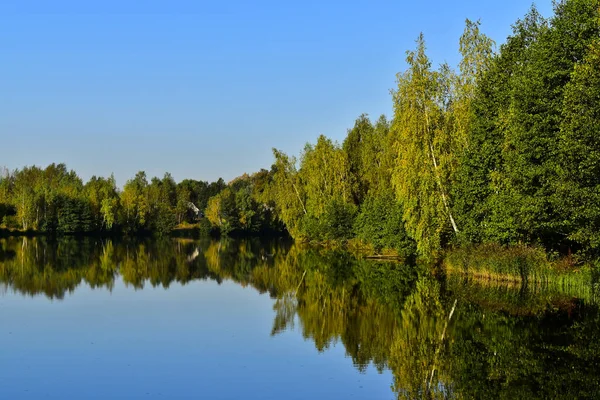 Reflection Trees Water Surface Pond Royalty Free Stock Photos