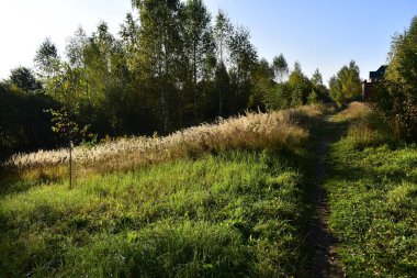 Sonbaharın başlarında köye yürüyüş yolu