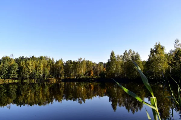 Serene Vijver Kust Herfst — Stockfoto