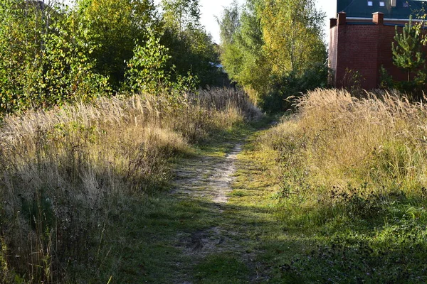 Sonbaharın başlarında köye yürüyüş yolu
