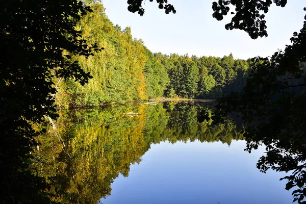 Uitzicht Vijver Vanaf Kust — Stockfoto