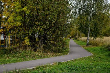 Parkta yürüyüş yolu