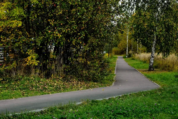 Pěší Stezka Parku — Stock fotografie