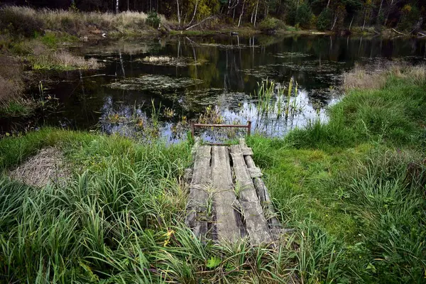 Çamurla kaplı bir göletin kıyısındaki tahtalardan yapılmış bir köprü.