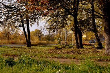 Şehrin kenar mahallelerinde sonbahar.