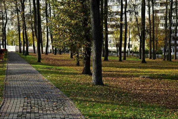 Περπάτημα Διαδρομή Μέσα Από Πάρκο Φθινόπωρο — Φωτογραφία Αρχείου