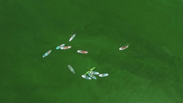 Μια ομάδα από supboards στη μέση μιας όμορφης επιφάνειας πράσινου νερού με μικρούς κυματισμούς. Θέα από ψηλά. Πυροδότηση με drone — Αρχείο Βίντεο