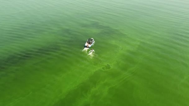 Jeden muž jezdí na wakeboardu za lodí v zelené perleťové vodě — Stock video