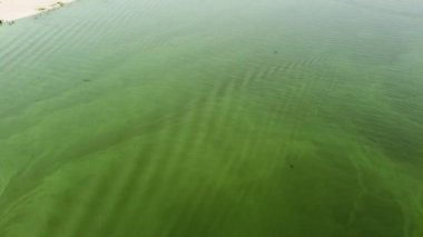 İnci yeşili su yüzeyi, biraz su ve kumlu bir sahil.