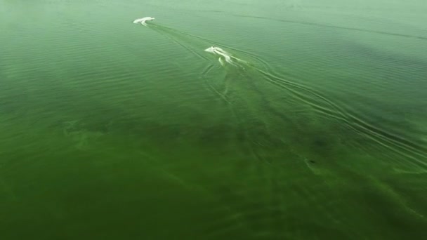 Dos personas en motos acuáticas flotan en el agua verde con pequeñas olas. Disparos con drones. Vista desde arriba — Vídeos de Stock