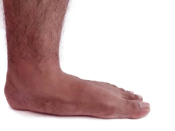 Mann nackte Füße mit Haaren Seitenblick stehen auf weißem Hintergrund Isoliert — Stockfoto
