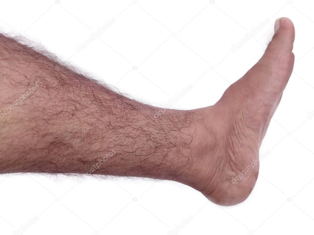 legs with hairs Close-up on white background isolated