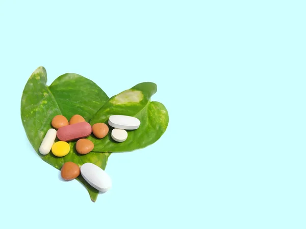 Tabletták a növényi levél, ayurvédikus orvoslás koncepció, szelektív fókusz, Tabletták betegség kezelésére természetes kezelés — Stock Fotó