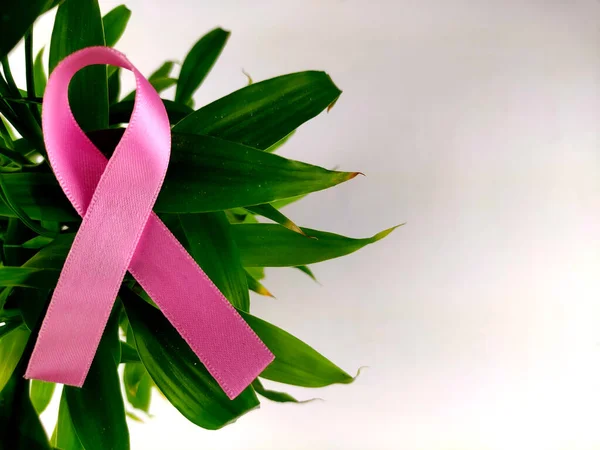 Symbol świadomości raka piersi różowa wstążka — Zdjęcie stockowe