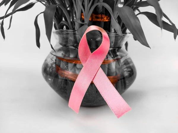 Symbol świadomości raka piersi różowa wstążka na szczęśliwej rośliny bambusa — Zdjęcie stockowe