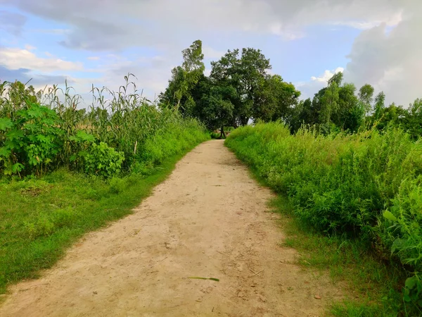 Unconstructed Village road in india made of Mud natural view
