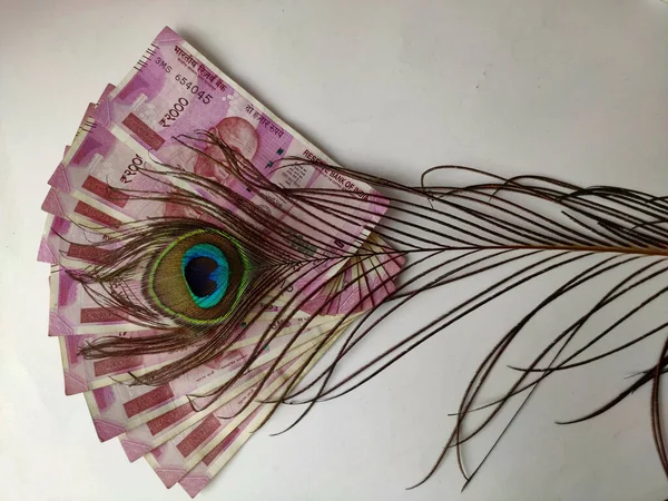 Penas de pavão no fundo do dinheiro de dois mil rúpias espaço de moeda para texto e fundo branco Fotografias De Stock Royalty-Free