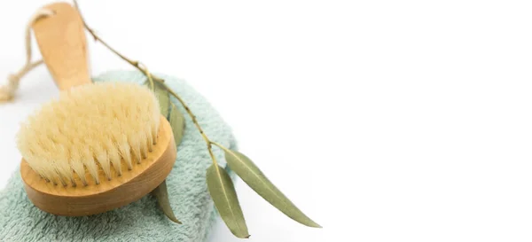 Spa beauty products on white background. brush, green eucalyptus branch, towel. Beauty blogger, massaging salon concept. Banner. Space for text — Stock Image Spa Beauty Products White Background Brush Green Eucalyptus Branch Towel Royalty Free Stock Images