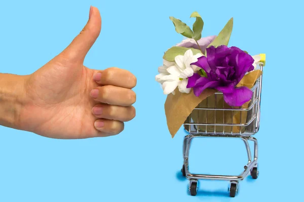 Olika Blommor Mini Shopping Vagn Eller Vagn Bredvid Kvinna Hand — Stockfoto