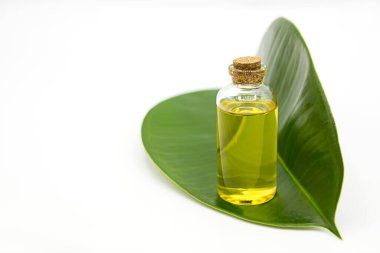 Yeşil doğal yaprak ve cam bir matara. Hafif arka planda gerekli ekolojik yağ var. Mesaj için yer var. Alternatif ve doğal tıp ve kozmetik konsepti.