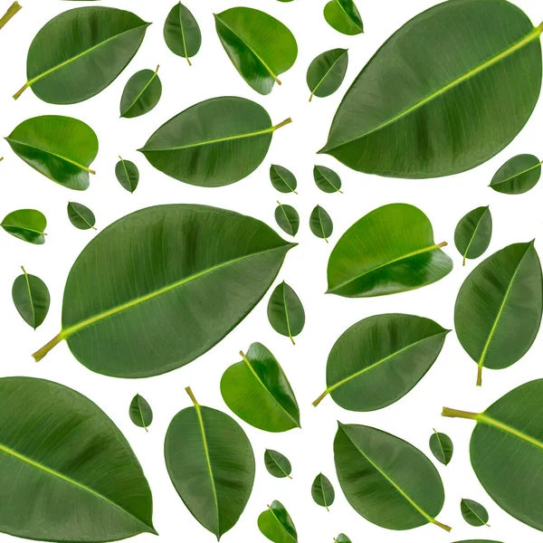 Green Leaves Natural Pattern Seamless — Stock Photo, Image