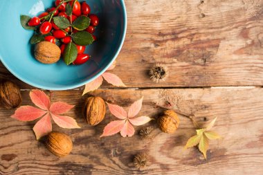 Şenlikli, parlak bir sonbahar arka planı olgun kırmızı köpek gülü meyveleri mavi bardakta, pembe yapraklı, eski ahşap bir masa üzerinde fındıklar desing için, kart.