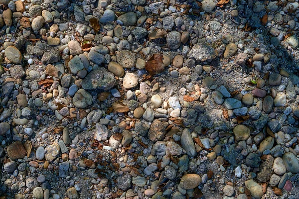 砂や乾燥した葉で石の質感 — ストック写真