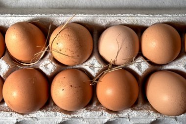 Çiftlik tavuğu yumurtaları samanla kaplanmış.