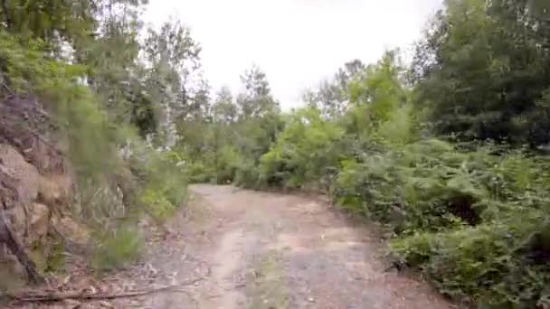 hyperlapsus du chemin de terre avec végétation