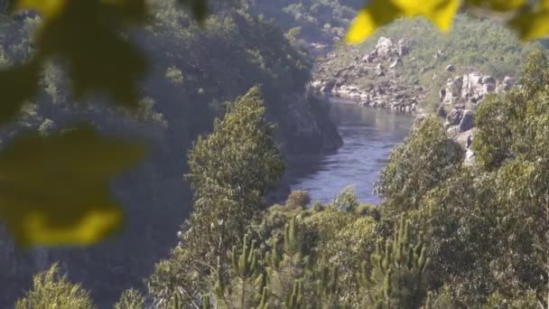 Fluss Umgeben Von Vegetation Galicien — Stockvideo