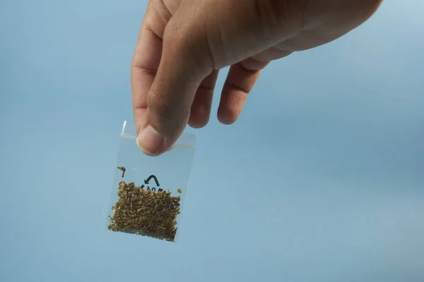 Mavi arka planda marihuana olan küçük çantalı el.