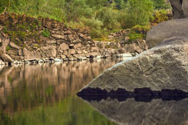 Nehir taşları ve yeşil bitki örtüsü