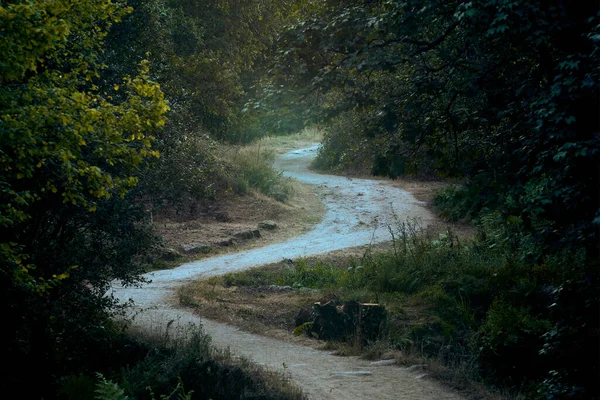 Çevresi yeşilliklerle çevrili kıvrımlı toprak yol