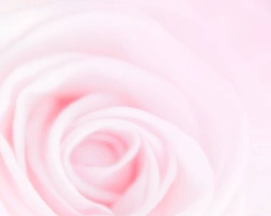 yumuşak gül renk ve stil için arka plan bulanıklık