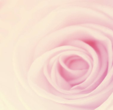 Doğa Çiçek arka plan, renk filtresi