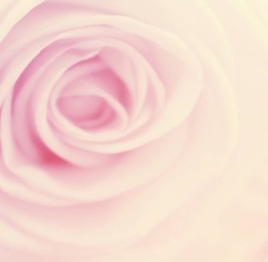 Doğa Çiçek arka plan, renk filtresi