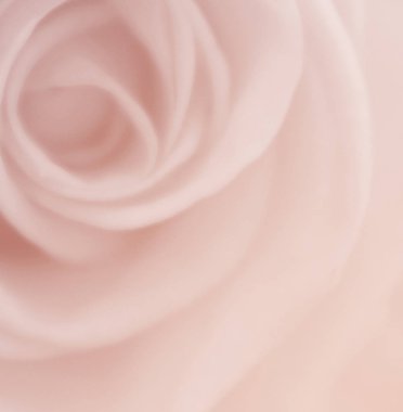 Doğa Çiçek arka plan, renk filtresi