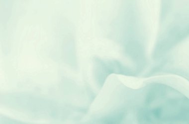 soyut doğa çiçek arka plan