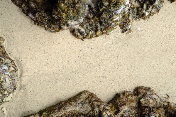 Copyspace ロック フレームな砂のビーチ — ストック写真